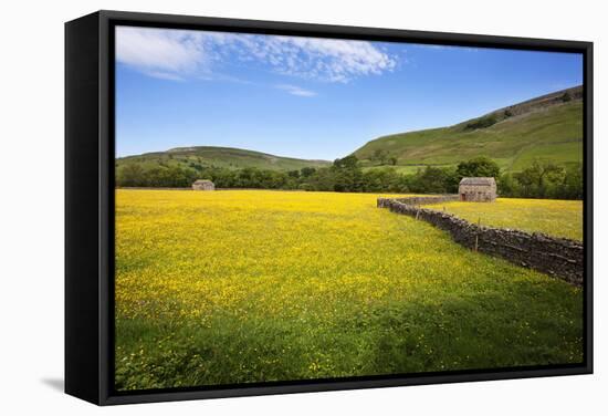 Field Barns and Buttercup Meadows at Muker-Mark Sunderland-Framed Stretched Canvas