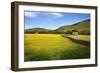 Field Barns and Buttercup Meadows at Muker-Mark Sunderland-Framed Photographic Print