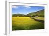 Field Barns and Buttercup Meadows at Muker-Mark Sunderland-Framed Photographic Print