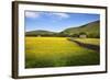 Field Barns and Buttercup Meadows at Muker-Mark Sunderland-Framed Photographic Print