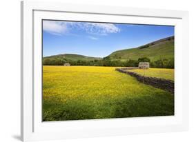 Field Barns and Buttercup Meadows at Muker-Mark Sunderland-Framed Photographic Print