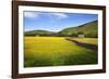 Field Barns and Buttercup Meadows at Muker-Mark Sunderland-Framed Photographic Print