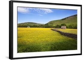 Field Barns and Buttercup Meadows at Muker-Mark Sunderland-Framed Photographic Print