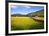 Field Barns and Buttercup Meadows at Muker-Mark Sunderland-Framed Photographic Print