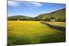Field Barns and Buttercup Meadows at Muker-Mark Sunderland-Mounted Photographic Print
