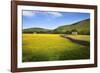 Field Barns and Buttercup Meadows at Muker-Mark Sunderland-Framed Photographic Print