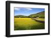 Field Barns and Buttercup Meadows at Muker-Mark Sunderland-Framed Photographic Print