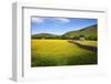 Field Barns and Buttercup Meadows at Muker-Mark Sunderland-Framed Photographic Print