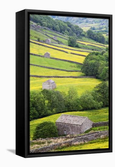 Field Barns in Buttercup Meadows Near Thwaite in Swaledale-Mark Sunderland-Framed Stretched Canvas