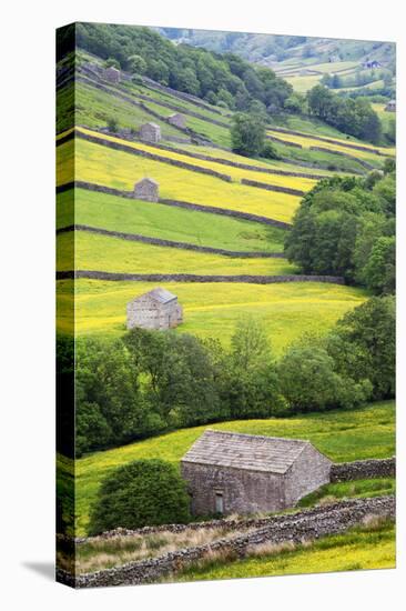 Field Barns in Buttercup Meadows Near Thwaite in Swaledale-Mark Sunderland-Stretched Canvas