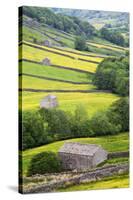 Field Barns in Buttercup Meadows Near Thwaite in Swaledale-Mark Sunderland-Stretched Canvas