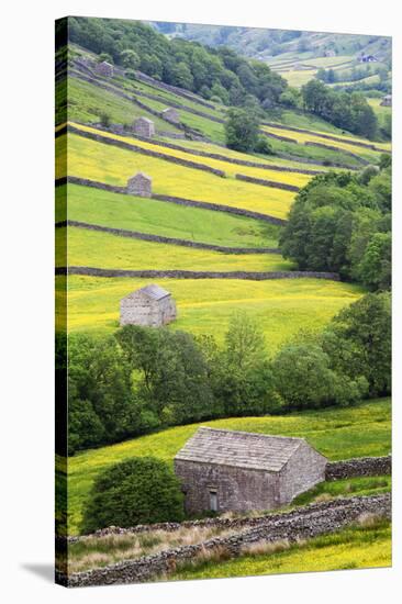 Field Barns in Buttercup Meadows Near Thwaite in Swaledale-Mark Sunderland-Stretched Canvas