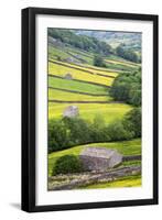 Field Barns in Buttercup Meadows Near Thwaite in Swaledale-Mark Sunderland-Framed Premium Photographic Print