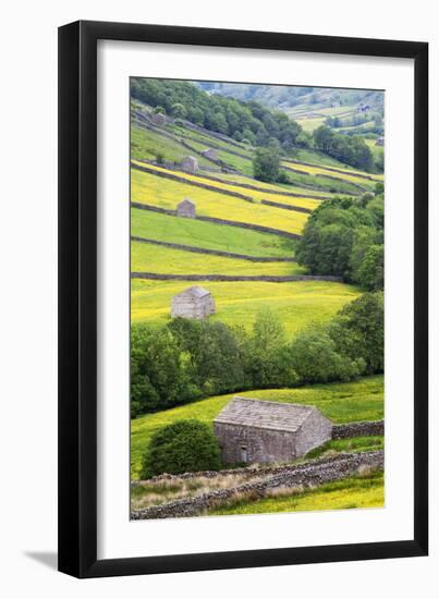 Field Barns in Buttercup Meadows Near Thwaite in Swaledale-Mark Sunderland-Framed Premium Photographic Print