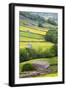 Field Barns in Buttercup Meadows Near Thwaite in Swaledale-Mark Sunderland-Framed Premium Photographic Print