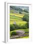 Field Barns in Buttercup Meadows Near Thwaite in Swaledale-Mark Sunderland-Framed Premium Photographic Print