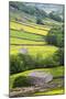 Field Barns in Buttercup Meadows Near Thwaite in Swaledale-Mark Sunderland-Mounted Premium Photographic Print