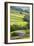 Field Barns in Buttercup Meadows Near Thwaite in Swaledale-Mark Sunderland-Framed Photographic Print