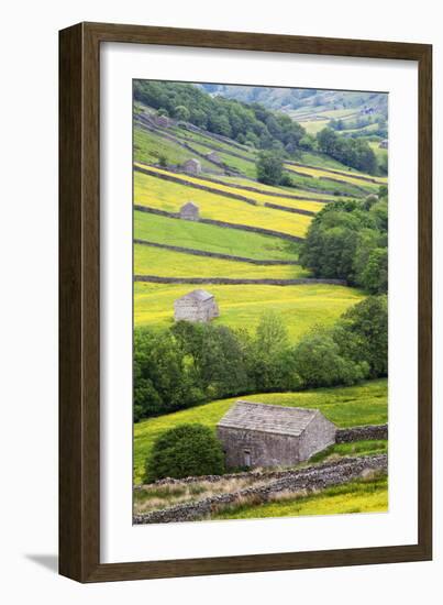 Field Barns in Buttercup Meadows Near Thwaite in Swaledale-Mark Sunderland-Framed Photographic Print