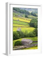 Field Barns in Buttercup Meadows Near Thwaite in Swaledale-Mark Sunderland-Framed Photographic Print