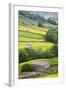 Field Barns in Buttercup Meadows Near Thwaite in Swaledale-Mark Sunderland-Framed Photographic Print