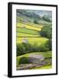 Field Barns in Buttercup Meadows Near Thwaite in Swaledale-Mark Sunderland-Framed Photographic Print