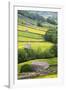 Field Barns in Buttercup Meadows Near Thwaite in Swaledale-Mark Sunderland-Framed Photographic Print