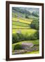 Field Barns in Buttercup Meadows Near Thwaite in Swaledale-Mark Sunderland-Framed Photographic Print