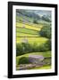 Field Barns in Buttercup Meadows Near Thwaite in Swaledale-Mark Sunderland-Framed Photographic Print