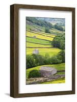 Field Barns in Buttercup Meadows Near Thwaite in Swaledale-Mark Sunderland-Framed Photographic Print