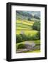 Field Barns in Buttercup Meadows Near Thwaite in Swaledale-Mark Sunderland-Framed Photographic Print