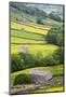 Field Barns in Buttercup Meadows Near Thwaite in Swaledale-Mark Sunderland-Mounted Photographic Print