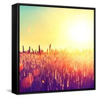 Field, Beautiful Nature Sunset Landscape-Subbotina Anna-Framed Stretched Canvas