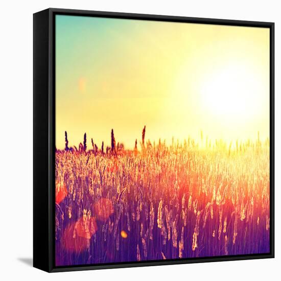 Field, Beautiful Nature Sunset Landscape-Subbotina Anna-Framed Stretched Canvas