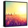 Field, Beautiful Nature Sunset Landscape-Subbotina Anna-Framed Stretched Canvas