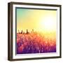 Field, Beautiful Nature Sunset Landscape-Subbotina Anna-Framed Photographic Print