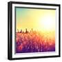 Field, Beautiful Nature Sunset Landscape-Subbotina Anna-Framed Photographic Print