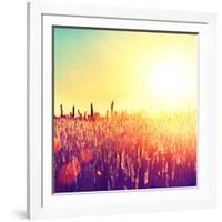 Field, Beautiful Nature Sunset Landscape-Subbotina Anna-Framed Photographic Print