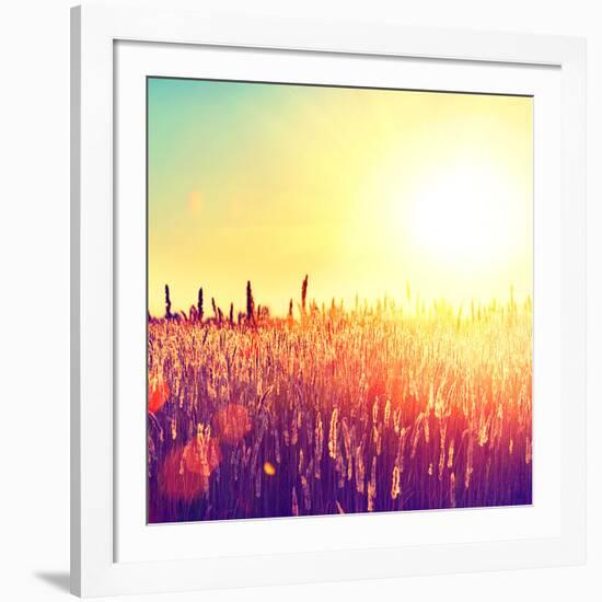 Field, Beautiful Nature Sunset Landscape-Subbotina Anna-Framed Photographic Print