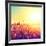 Field, Beautiful Nature Sunset Landscape-Subbotina Anna-Framed Photographic Print