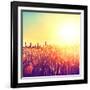 Field, Beautiful Nature Sunset Landscape-Subbotina Anna-Framed Photographic Print