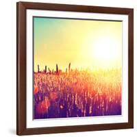 Field, Beautiful Nature Sunset Landscape-Subbotina Anna-Framed Photographic Print