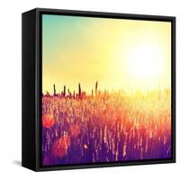 Field, Beautiful Nature Sunset Landscape-Subbotina Anna-Framed Stretched Canvas