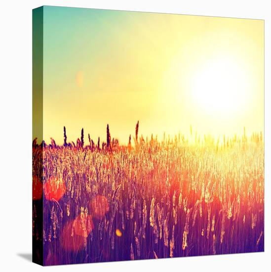 Field, Beautiful Nature Sunset Landscape-Subbotina Anna-Stretched Canvas