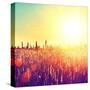 Field, Beautiful Nature Sunset Landscape-Subbotina Anna-Stretched Canvas