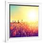 Field, Beautiful Nature Sunset Landscape-Subbotina Anna-Framed Art Print