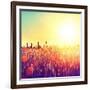 Field, Beautiful Nature Sunset Landscape-Subbotina Anna-Framed Art Print