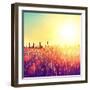 Field, Beautiful Nature Sunset Landscape-Subbotina Anna-Framed Art Print