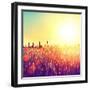 Field, Beautiful Nature Sunset Landscape-Subbotina Anna-Framed Art Print