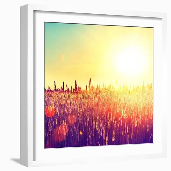 Field, Beautiful Nature Sunset Landscape-Subbotina Anna-Framed Art Print